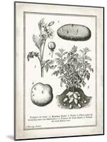 French Potatoes-Gwendolyn Babbitt-Mounted Art Print