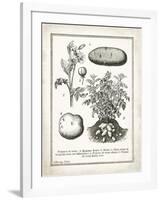 French Potatoes-Gwendolyn Babbitt-Framed Art Print