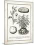 French Potatoes-Gwendolyn Babbitt-Mounted Art Print