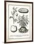 French Potatoes-Gwendolyn Babbitt-Framed Art Print