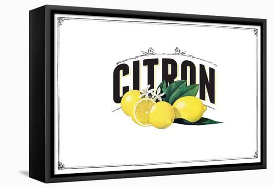 French Produce - Lemon-The Saturday Evening Post-Framed Stretched Canvas