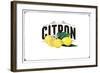 French Produce - Lemon-The Saturday Evening Post-Framed Giclee Print