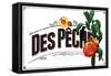 French Produce - Peach-The Saturday Evening Post-Framed Stretched Canvas
