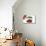 French Produce Tomato-null-Stretched Canvas displayed on a wall