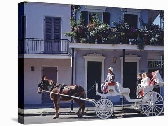French Quarter Mule Ride in Carriage-Carol Highsmith-Stretched Canvas