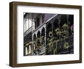 French Quarter, New Orleans, Louisiana, USA-Charles Bowman-Framed Photographic Print