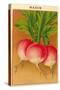 French Radish Seed Packet-null-Stretched Canvas