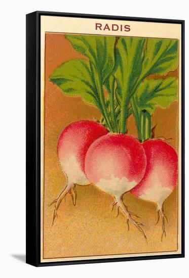 French Radish Seed Packet-null-Framed Stretched Canvas