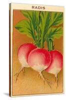 French Radish Seed Packet-null-Stretched Canvas