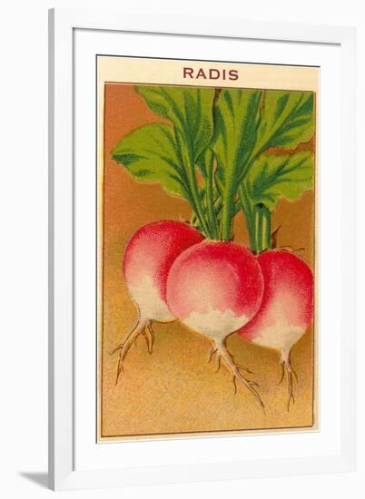 French Radish Seed Packet-null-Framed Art Print