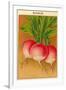 French Radish Seed Packet-null-Framed Art Print