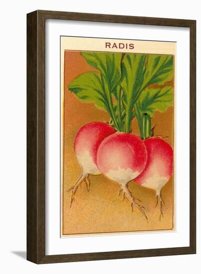 French Radish Seed Packet-null-Framed Art Print