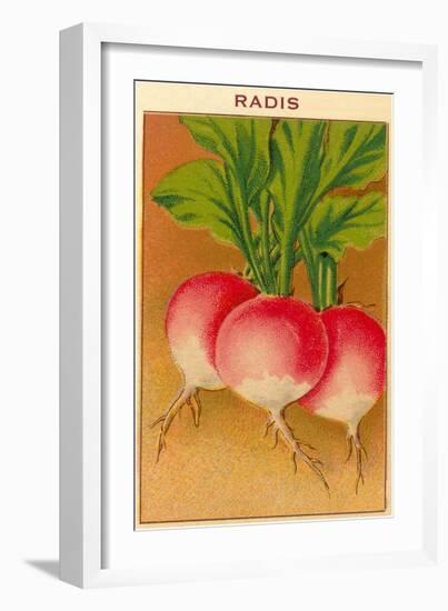 French Radish Seed Packet-null-Framed Art Print