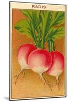 French Radish Seed Packet-null-Mounted Art Print