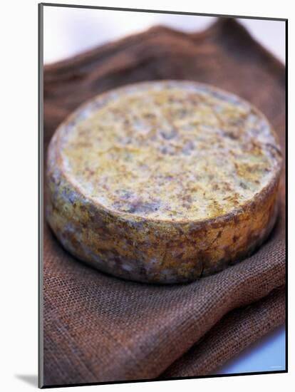 French Raw-Milk Cheese-Stefan Braun-Mounted Photographic Print