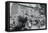 French Refugees Return to their Abandoned Village, Artois, World War I, 1915-null-Framed Stretched Canvas