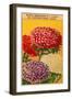 French Reine Marguerite Chrysanthemum Seed Packet-null-Framed Art Print