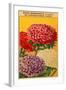 French Reine Marguerite Chrysanthemum Seed Packet-null-Framed Art Print