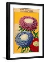 French Reine Marguerite Coronets Seed Packet-null-Framed Art Print