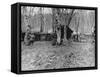 French Rest Area and Soup Kitchen Behind the Lines, World War I, 1915-null-Framed Stretched Canvas