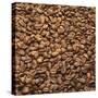French Roast Whole Coffee Beans-Alexander Feig-Stretched Canvas
