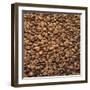 French Roast Whole Coffee Beans-Alexander Feig-Framed Premium Photographic Print