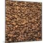 French Roast Whole Coffee Beans-Alexander Feig-Mounted Premium Photographic Print