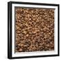French Roast Whole Coffee Beans-Alexander Feig-Framed Photographic Print