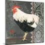 French Rooster II-Gwendolyn Babbitt-Mounted Art Print