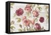 French Roses I-Danhui Nai-Framed Stretched Canvas