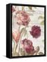 French Roses II-Danhui Nai-Framed Stretched Canvas