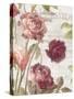 French Roses II-Danhui Nai-Stretched Canvas