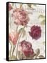 French Roses II-Danhui Nai-Framed Stretched Canvas