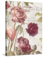 French Roses II-Danhui Nai-Stretched Canvas