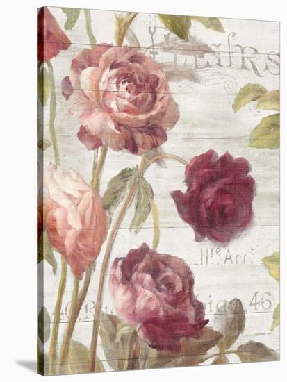 French Roses II-Danhui Nai-Stretched Canvas