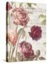 French Roses II-Danhui Nai-Stretched Canvas