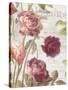 French Roses II-Danhui Nai-Stretched Canvas