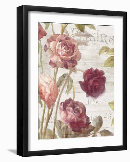 French Roses II-Danhui Nai-Framed Art Print