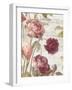French Roses II-Danhui Nai-Framed Art Print