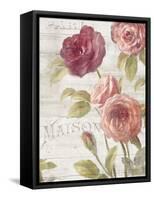 French Roses III-Danhui Nai-Framed Stretched Canvas