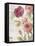 French Roses III-Danhui Nai-Framed Stretched Canvas