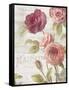 French Roses III-Danhui Nai-Framed Stretched Canvas