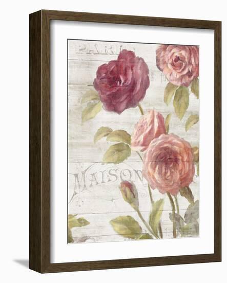 French Roses III-Danhui Nai-Framed Art Print