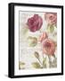 French Roses III-Danhui Nai-Framed Art Print