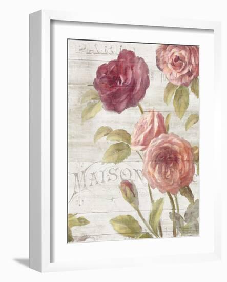 French Roses III-Danhui Nai-Framed Art Print