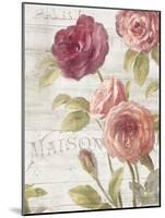 French Roses III-Danhui Nai-Mounted Art Print