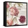 French Roses IV-Danhui Nai-Framed Stretched Canvas