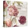 French Roses IV-Danhui Nai-Stretched Canvas