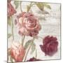 French Roses IV-Danhui Nai-Mounted Art Print