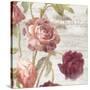 French Roses IV-Danhui Nai-Stretched Canvas